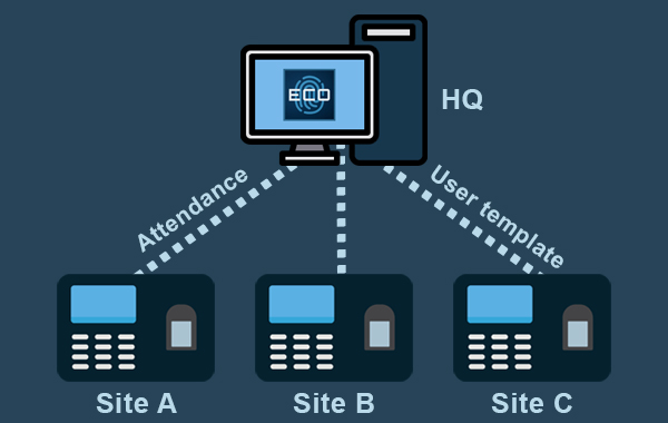 P2P RDMS